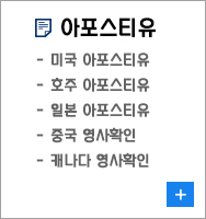 아포스티유대행