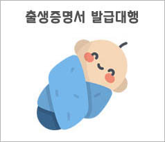 출생증명서발급대행